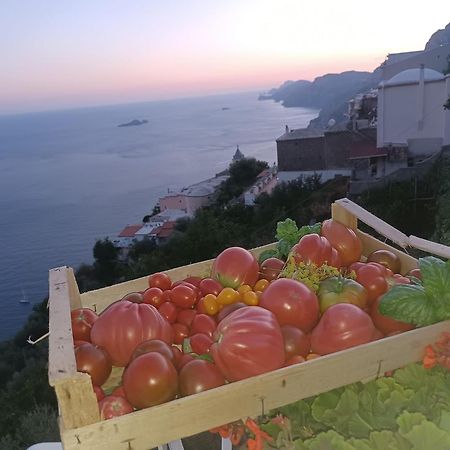 Villa Antica Macina Positano Ngoại thất bức ảnh