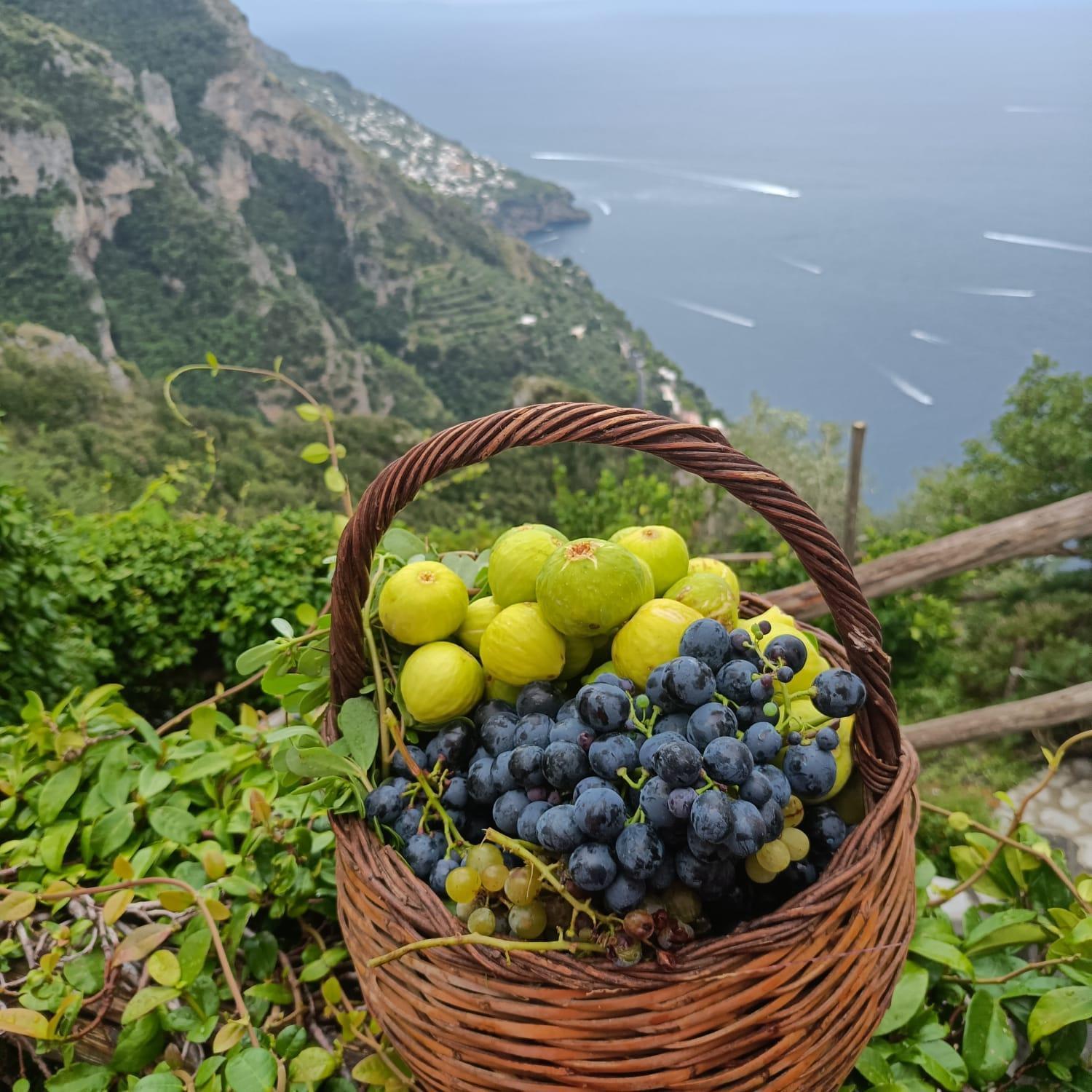 Villa Antica Macina Positano Ngoại thất bức ảnh