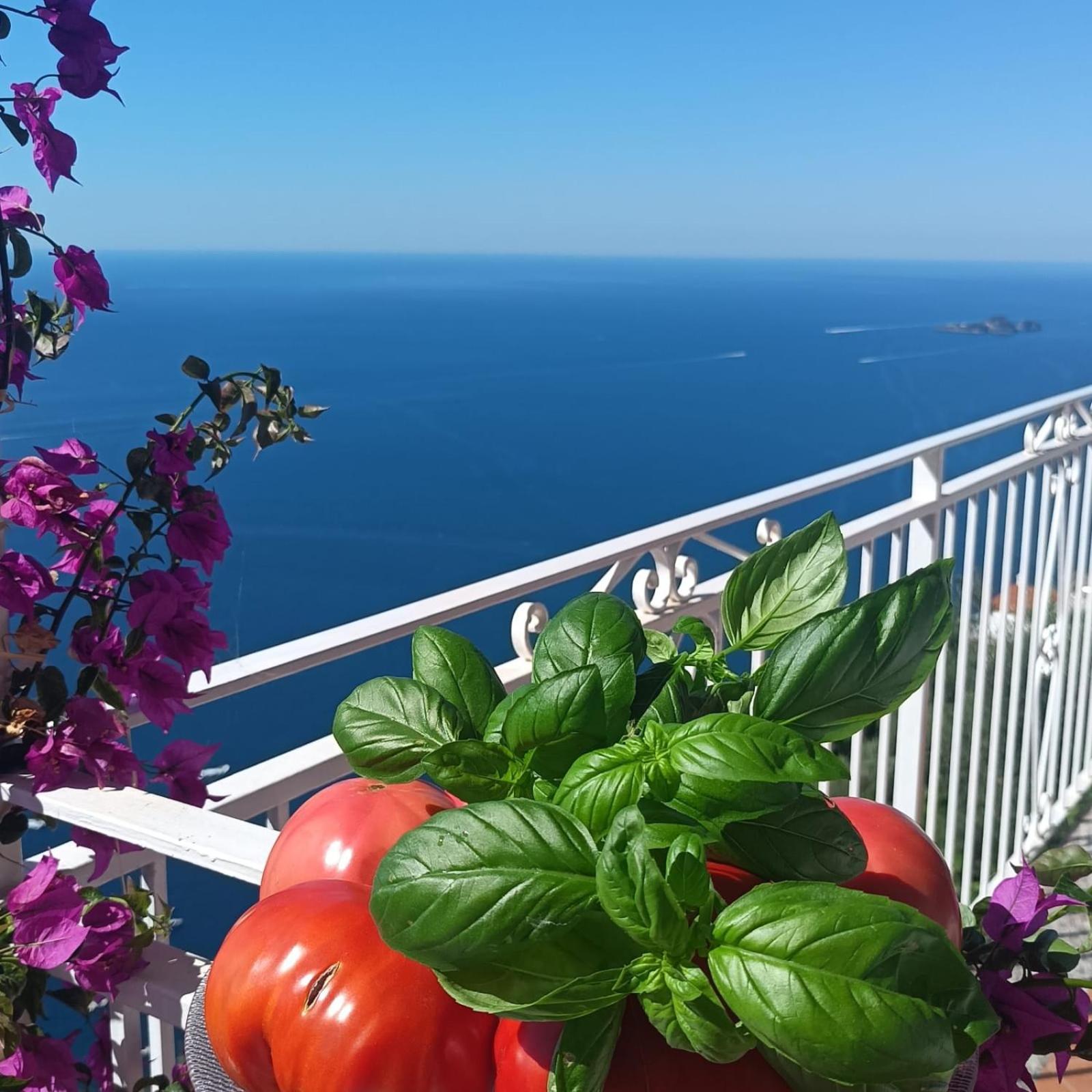 Villa Antica Macina Positano Ngoại thất bức ảnh