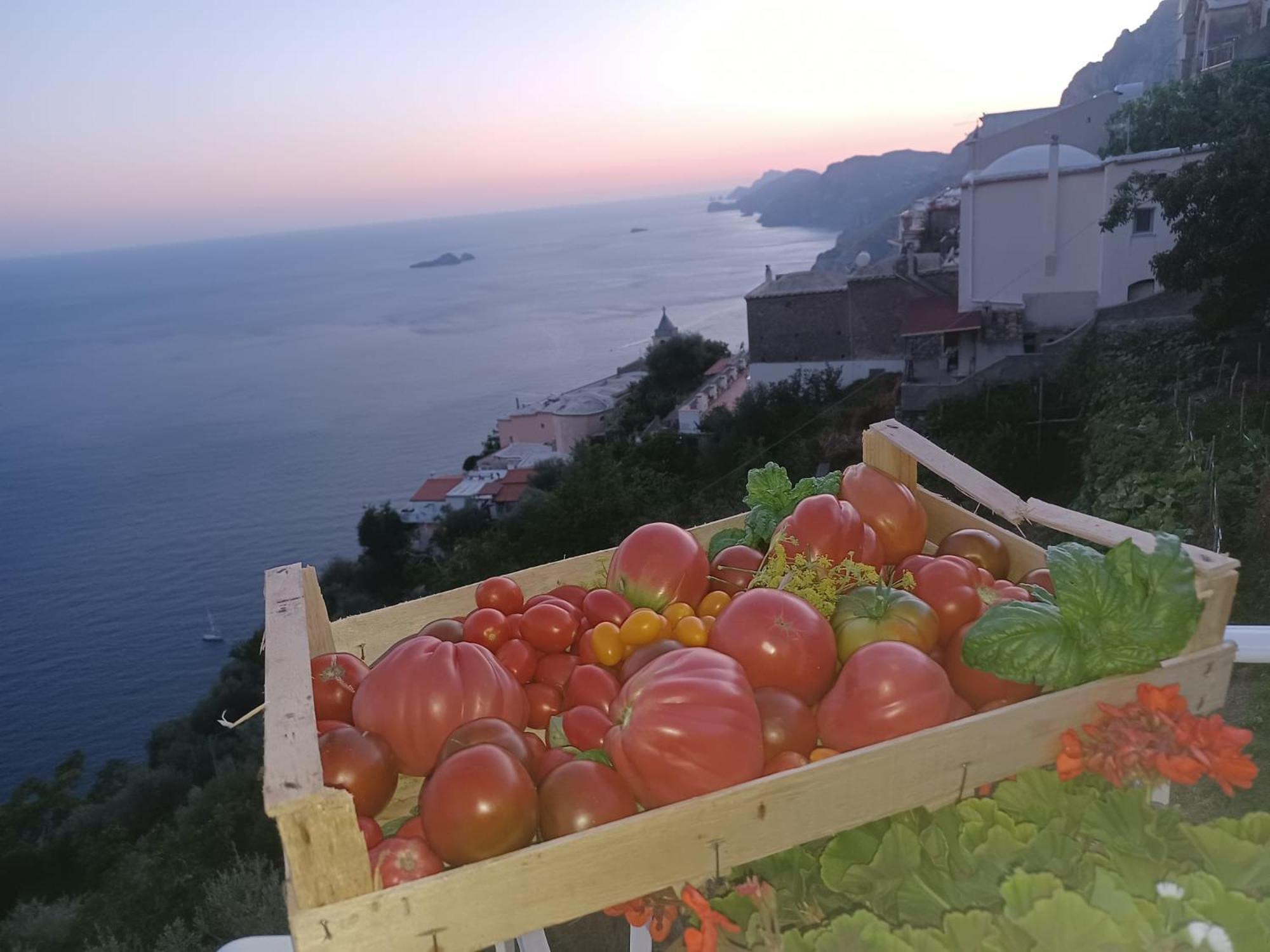 Villa Antica Macina Positano Ngoại thất bức ảnh