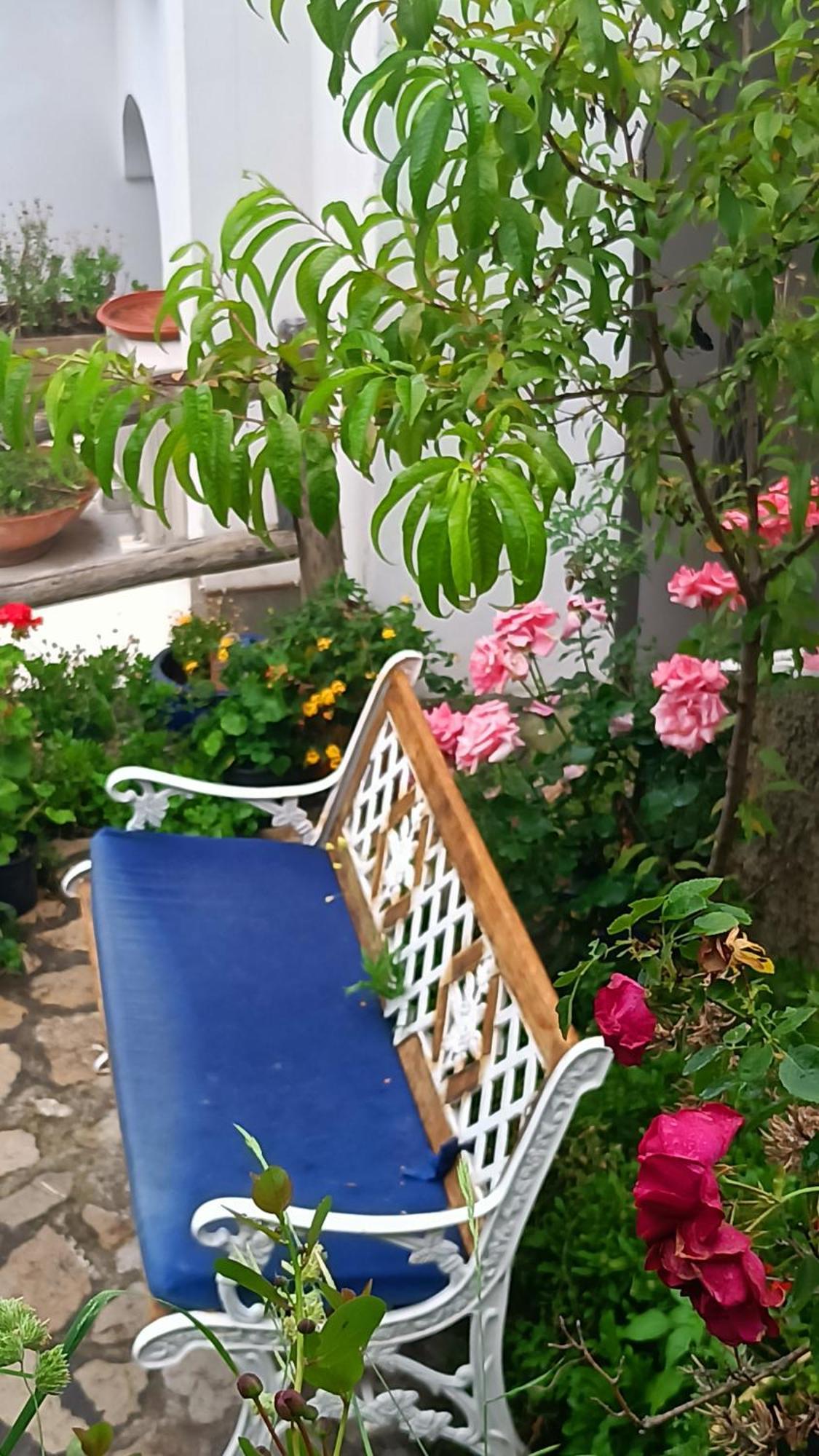 Villa Antica Macina Positano Ngoại thất bức ảnh