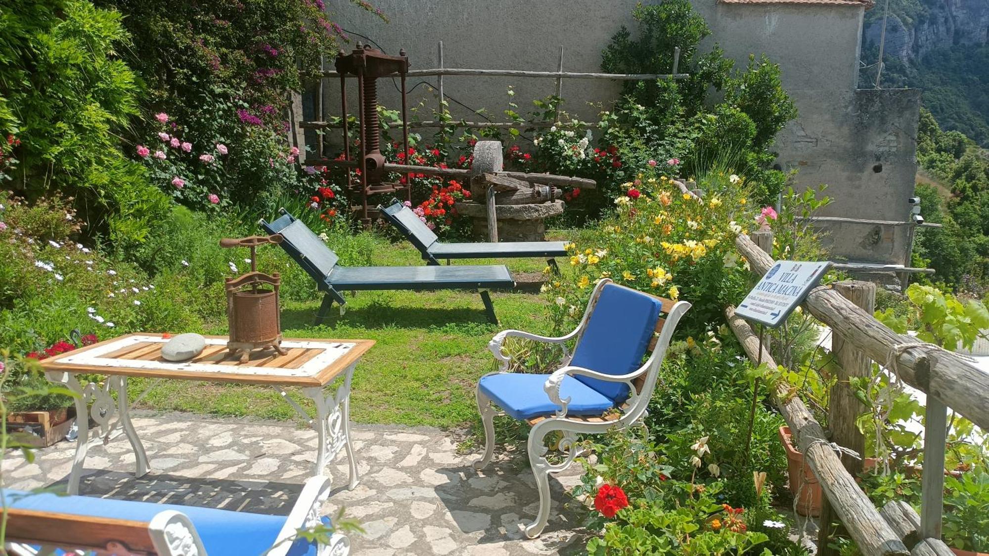 Villa Antica Macina Positano Ngoại thất bức ảnh