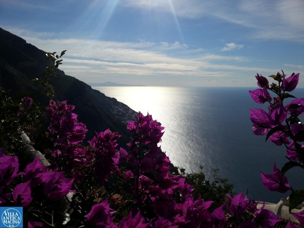 Villa Antica Macina Positano Phòng bức ảnh